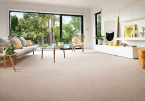 Carpet Geelong Steve's Discount Flooring